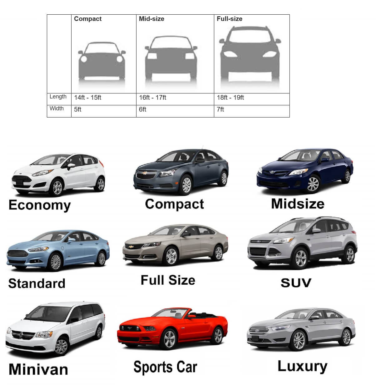Standard Vs Full Size Car | Hot Sex Picture