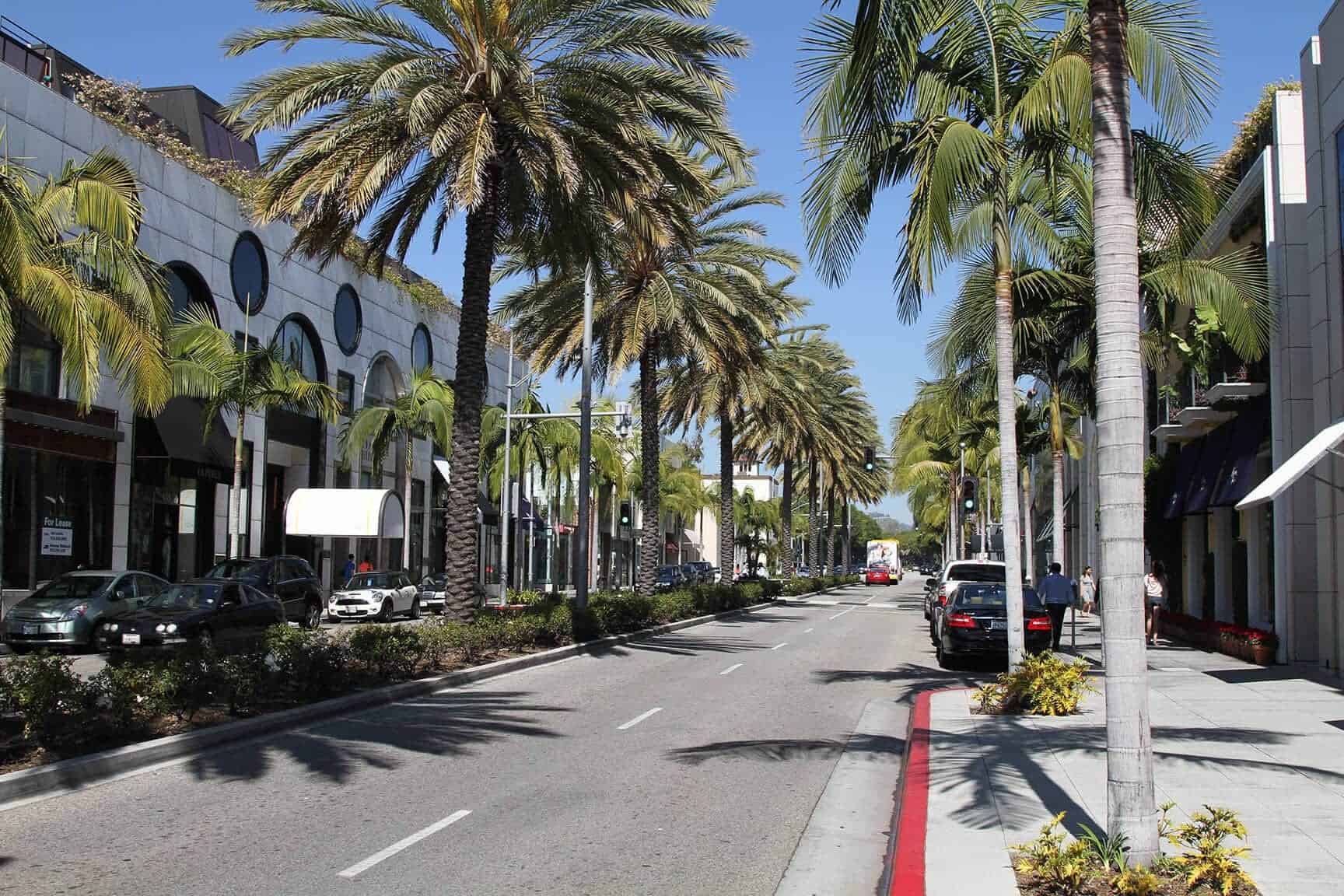 la palm trees street